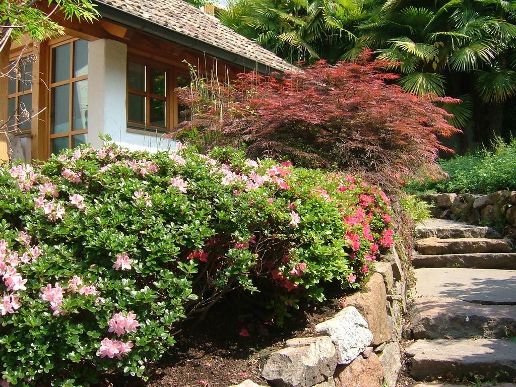 Villa Sissi Laives Kültér fotó