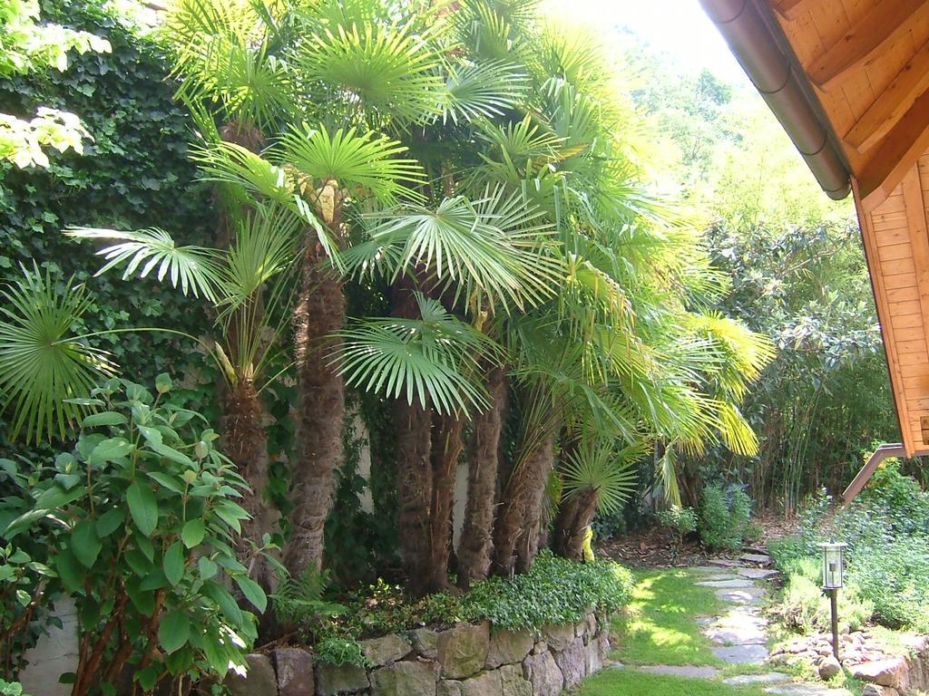 Villa Sissi Laives Kültér fotó